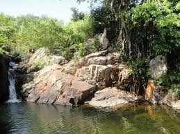 KDL Sinh Thái CÔNG LA - Stream Ục Giô 1