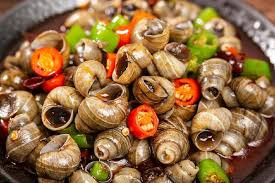 Ốc hút bé nhỏ  1