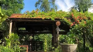 Soul Village - Hồn quê cafe 1