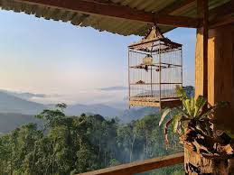 Lộc Trời Homestay - Peak Quế Tây Giang 1